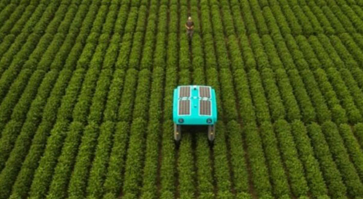 ربات هوشمند کشاورزی را متحول می‌کند